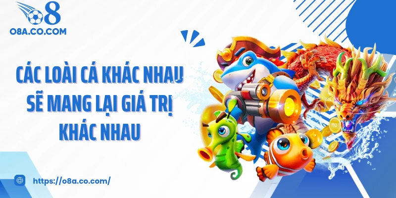 Các loài cá khác nhau sẽ mang lại giá trị khác nhau