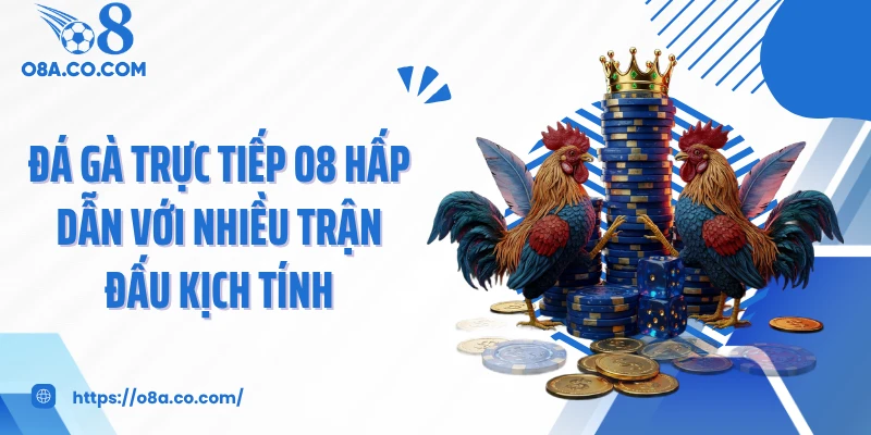 Đá Gà Trực Tiếp O8 Hấp Dẫn Với Nhiều Trận Đấu Kịch Tính